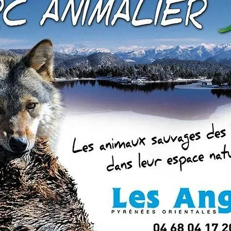 Au Centre Des Angles Avec Balcon, Casier A Skis, Et Kitchenette Equipee - Fr-1-593-86 Les Angles (Pyrenees-Orientales)